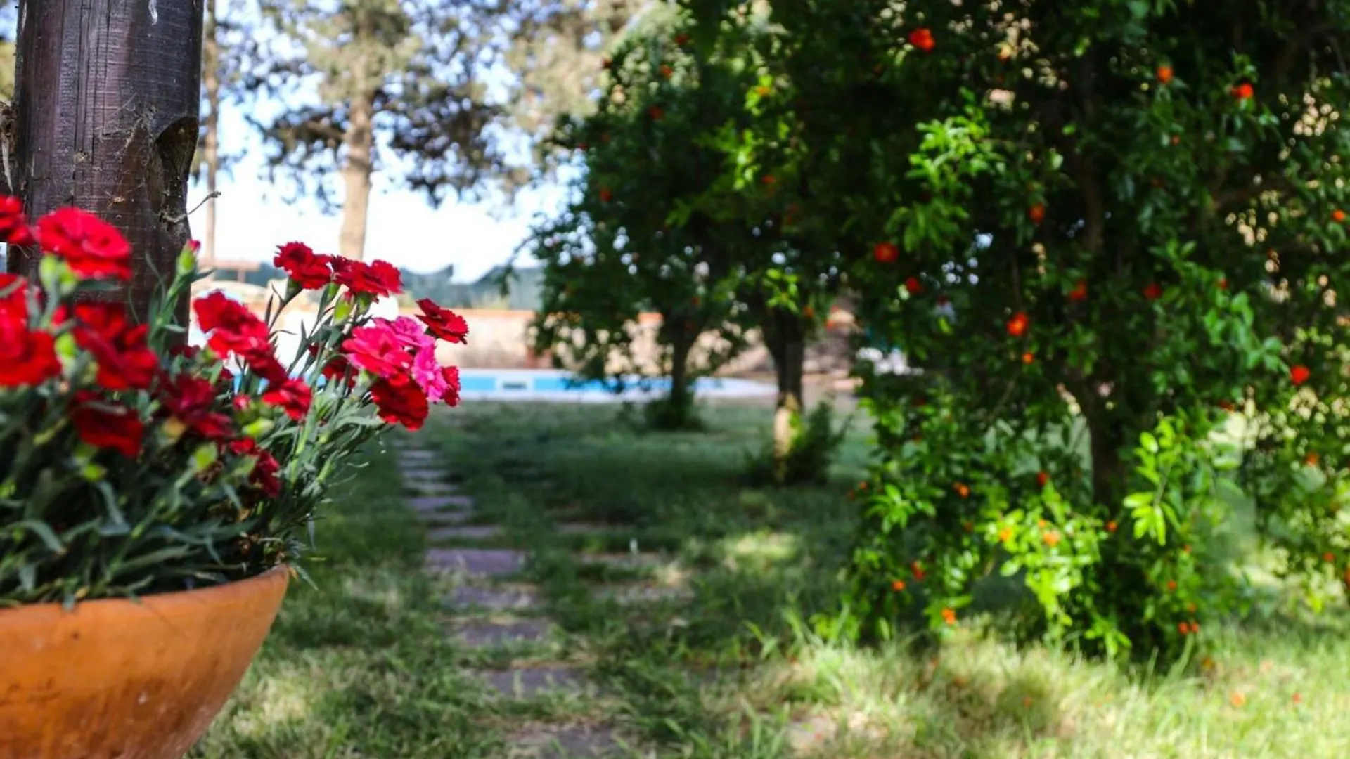 Сasa de vacaciones Villa Casale Acquaviva Campiglia Marittima Italia